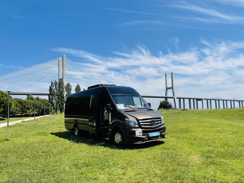 Mercedes Sprinter Minibus 19