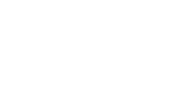 Volmer City Line